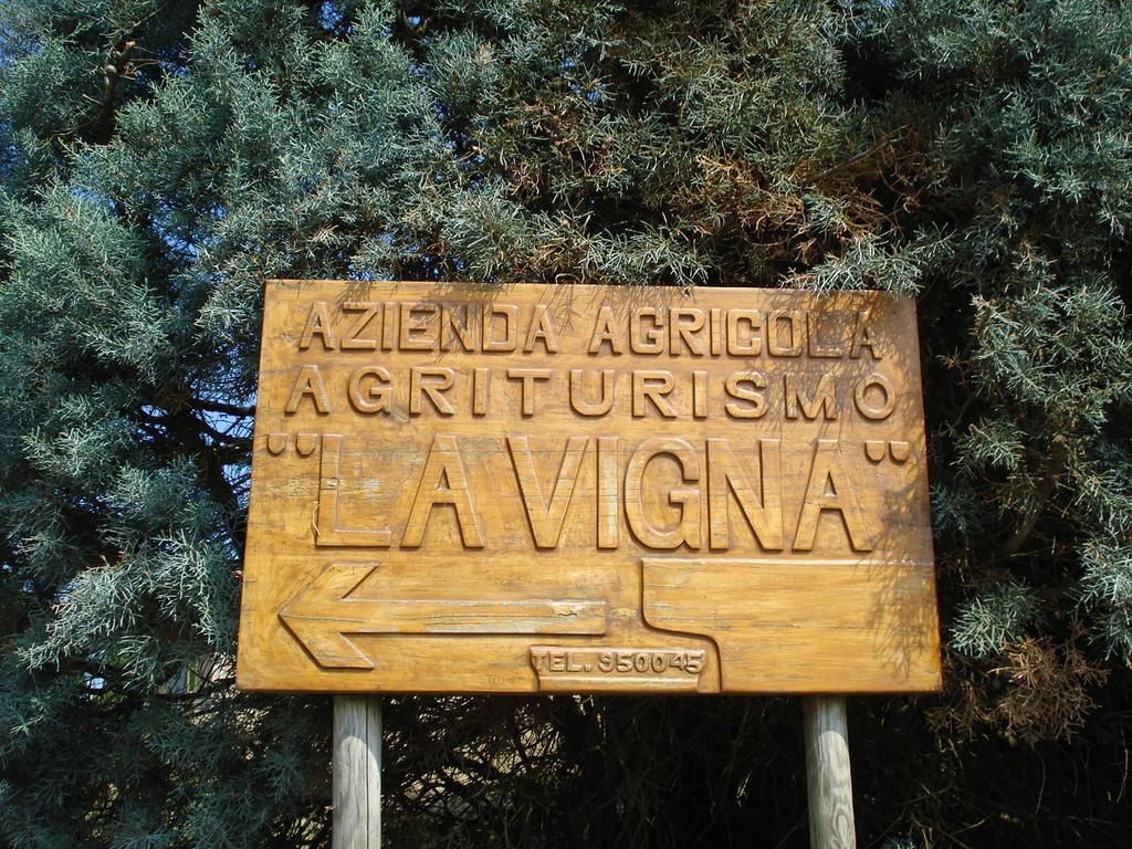 Agriturismo La Vigna سان جيمينيانو المظهر الخارجي الصورة